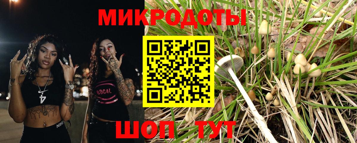 Псилоцибиновые грибы MAGIC MUSHROOMS Донецк